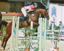 Springpferd Diara 19 (Westfale, 2008, von Daddy Cool)