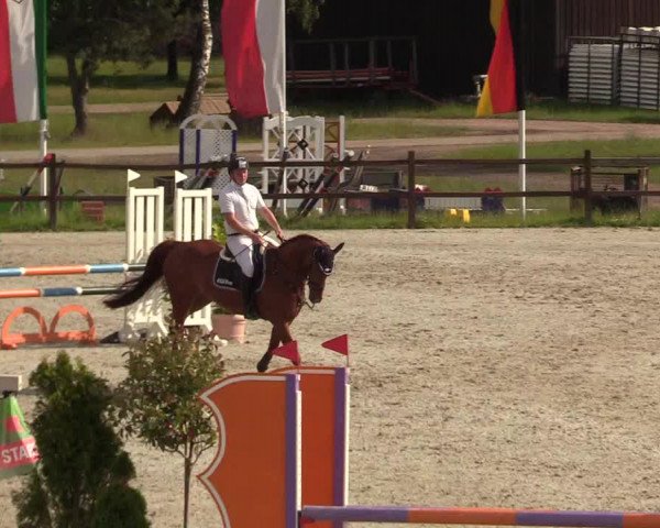 Reitturnier Westergellersen 2020