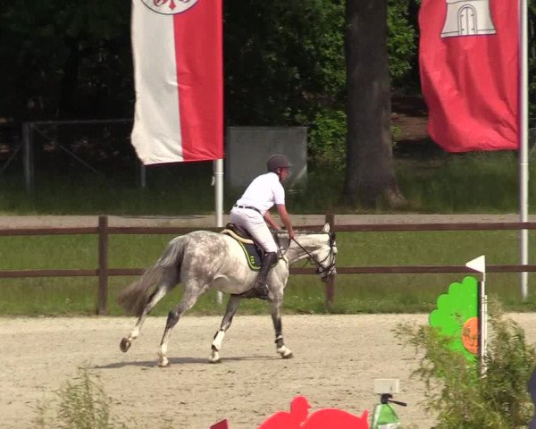 Reitturnier Westergellersen 2020