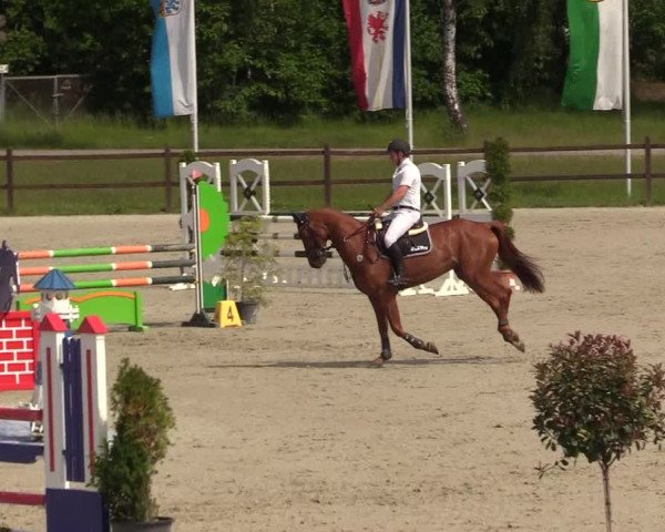 Reitturnier Westergellersen 2020