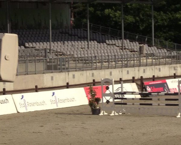 Reitturnier Westergellersen 2020