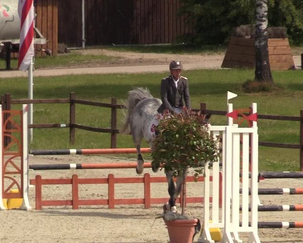 Reitturnier Westergellersen 2020