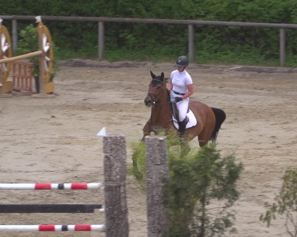 Reitturnier Erkrath - Uhlenhof 2020