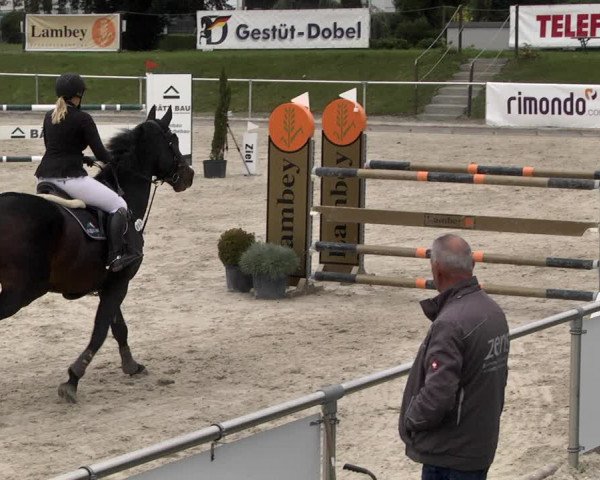Reitturnier Durmersheim-Hardt 2021