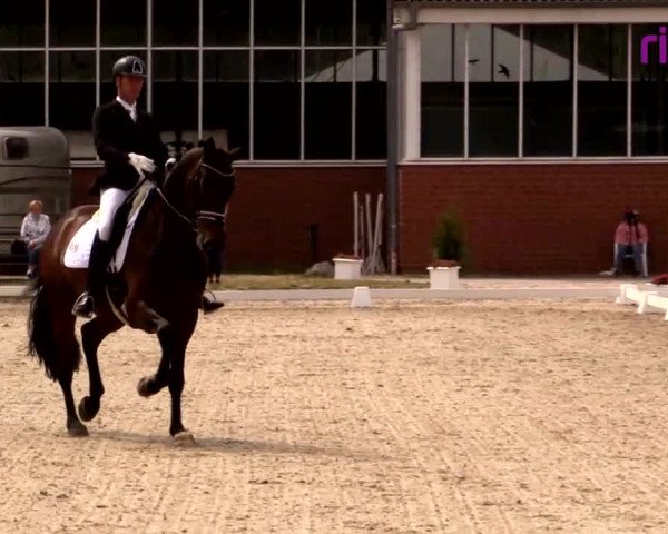 Reitturnier Langenfeld - Gut Langfort 2020