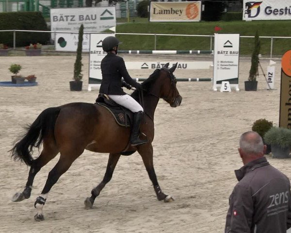 Reitturnier Durmersheim-Hardt 2021