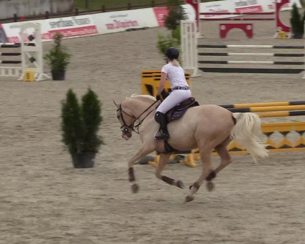 Reitturnier Westergellersen 2020