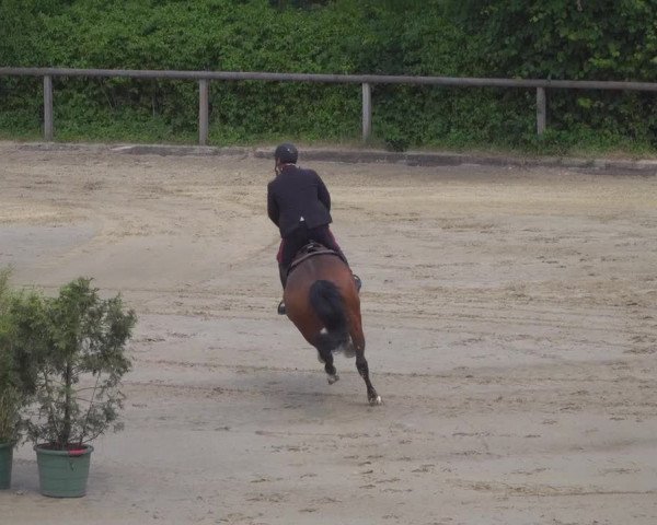 Reitturnier Erkrath - Uhlenhof 2020
