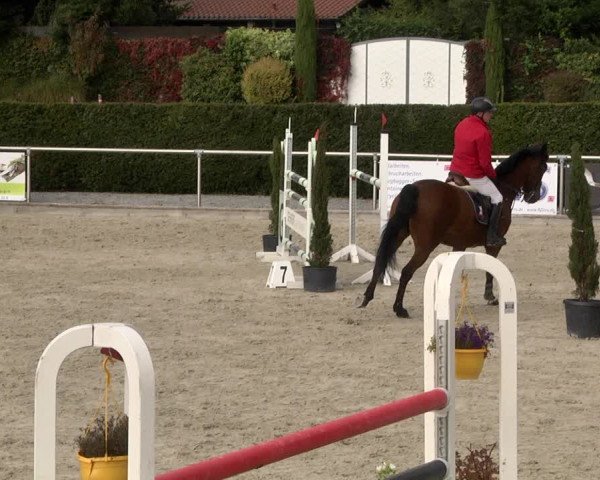 Reitturnier Durmersheim-Hardt 2021