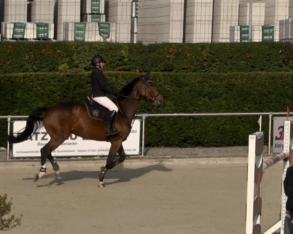 Reitturnier Durmersheim-Hardt 2021
