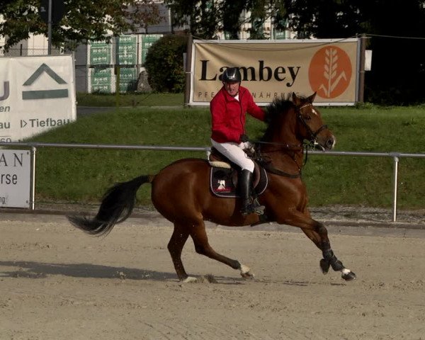 Reitturnier Durmersheim-Hardt 2021