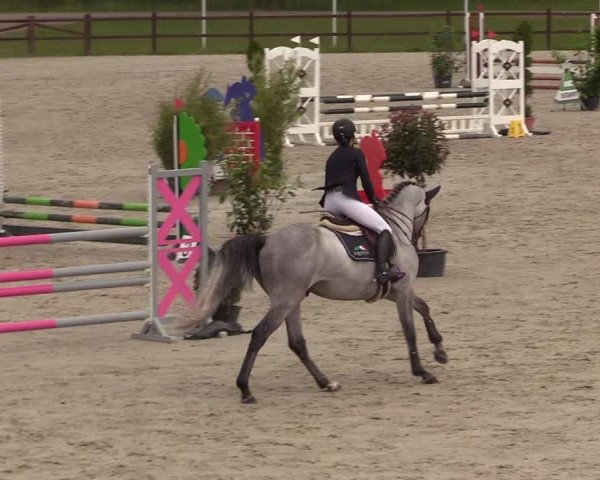 Reitturnier Westergellersen 2020