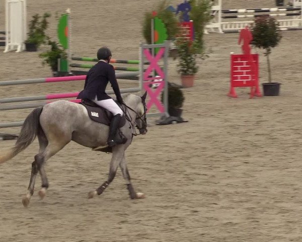 Reitturnier Westergellersen 2020