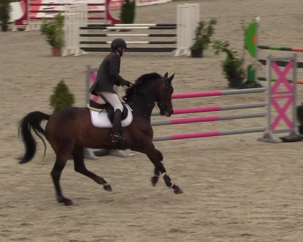 Reitturnier Westergellersen 2020