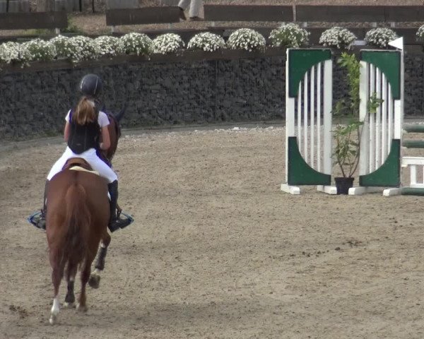 Reitturnier Wipperfürth-Kreuzberg 2020