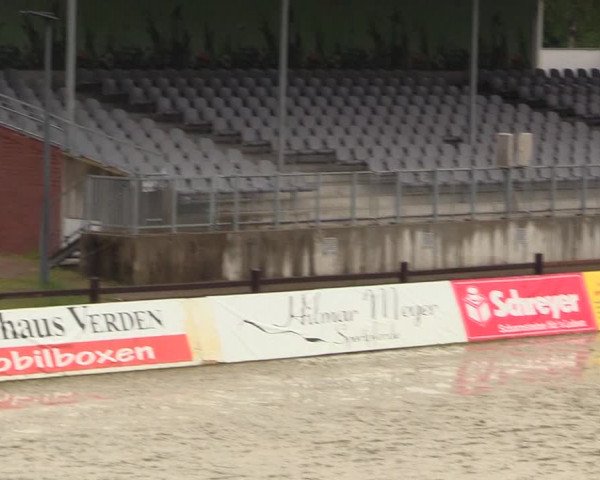 Reitturnier Westergellersen 2020