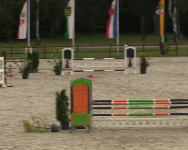 Reitturnier Westergellersen 2020