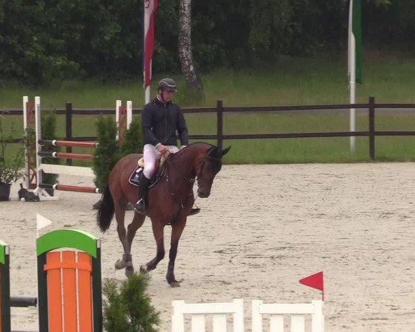 Reitturnier Westergellersen 2020