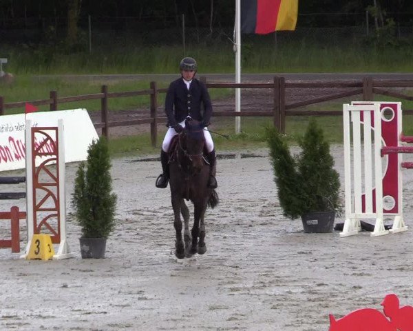 Reitturnier Westergellersen 2020