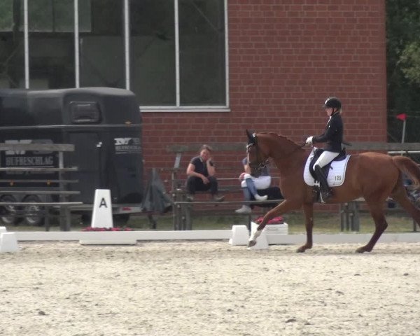 Reitturnier Langenfeld - Gut Langfort 2020