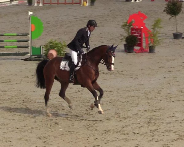 Reitturnier Westergellersen 2020