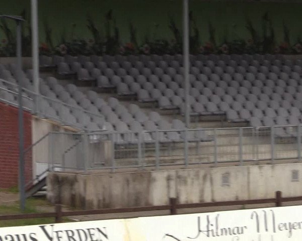 Reitturnier Westergellersen 2020