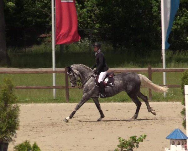 Reitturnier Westergellersen 2020