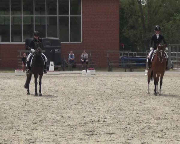 Reitturnier Langenfeld - Gut Langfort 2020
