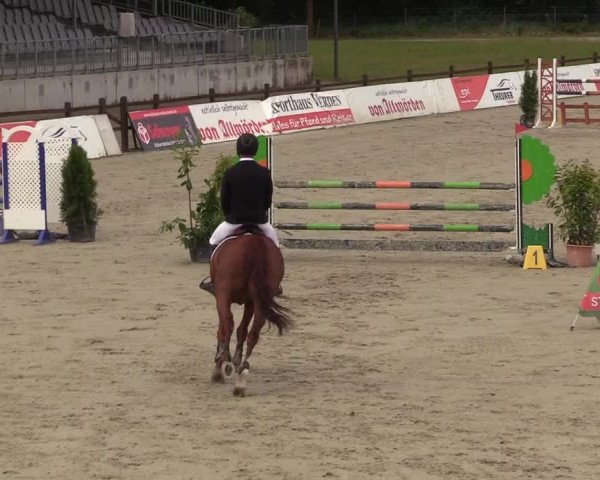Reitturnier Westergellersen 2020