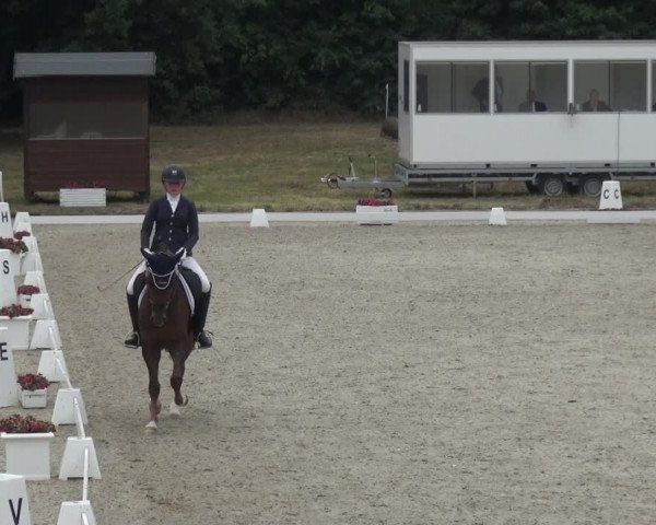 Reitturnier Langenfeld - Gut Langfort 2020