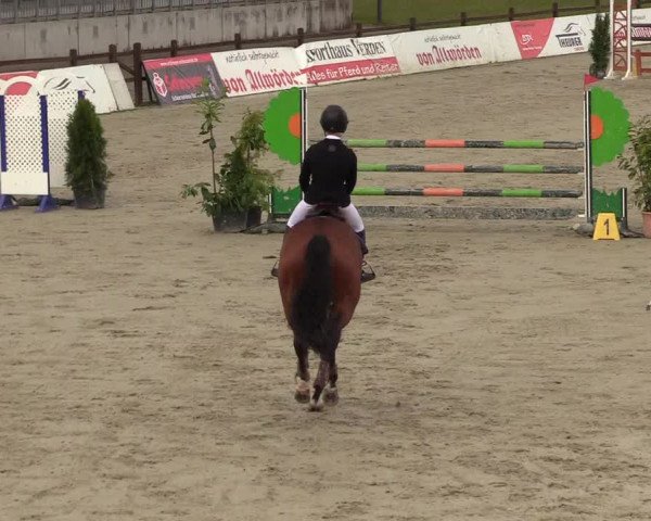 Reitturnier Westergellersen 2020