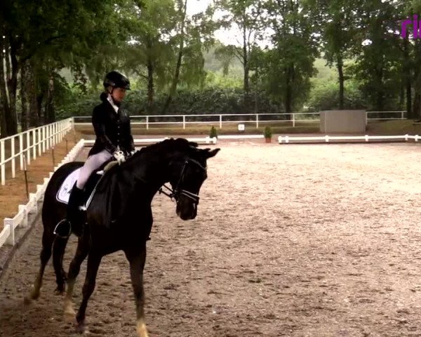Reitturnier Heiden 2020