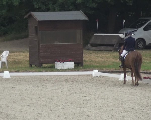 Reitturnier Langenfeld - Gut Langfort 2020