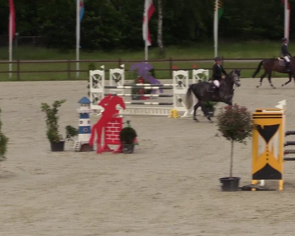 Reitturnier Westergellersen 2020