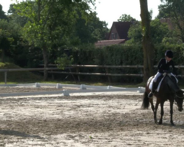 Reitturnier Niedernstöcken 2020