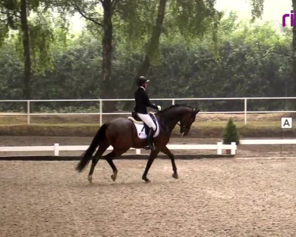 Reitturnier Heiden 2020