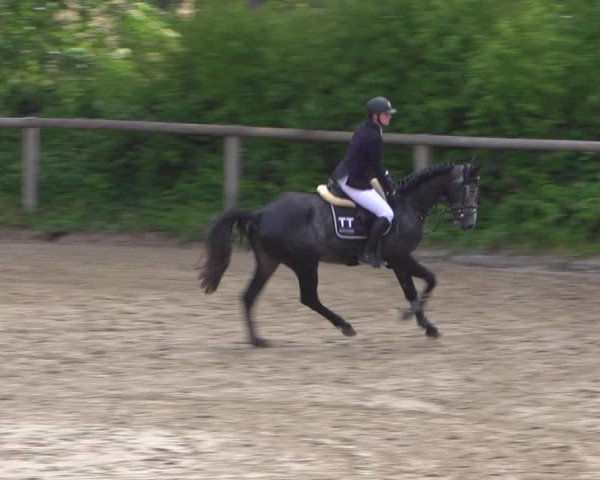 Reitturnier Erkrath - Uhlenhof 2020
