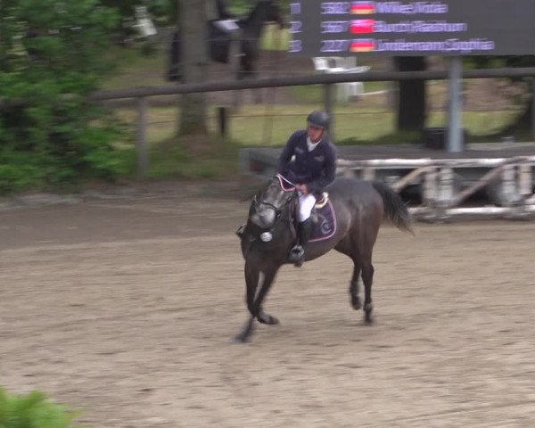 Reitturnier Erkrath - Uhlenhof 2020