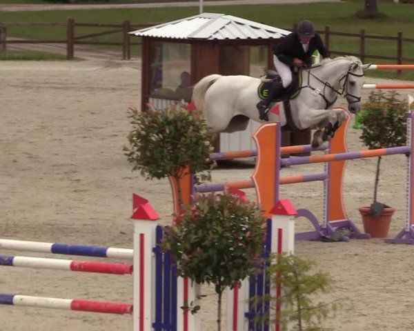 Reitturnier Westergellersen 2020