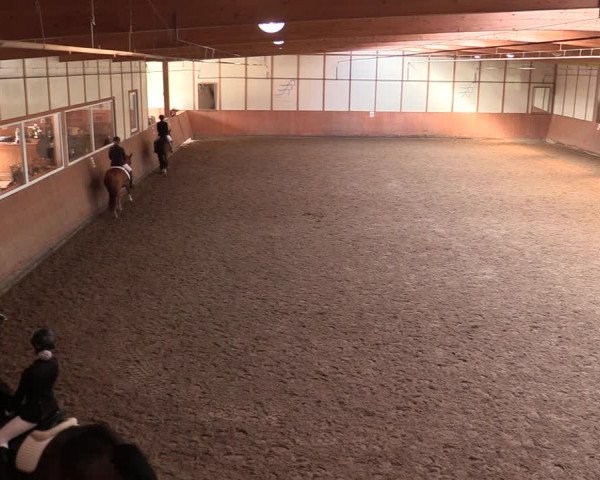 Reitturnier Halver 2020