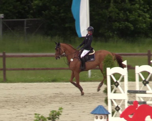 Reitturnier Westergellersen 2020