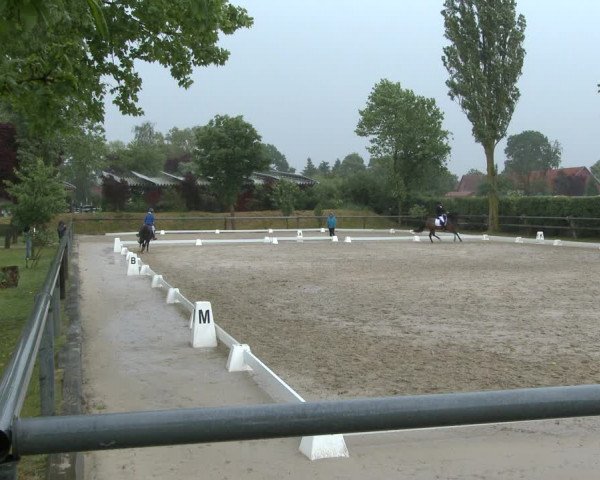 Reitturnier Niedernstöcken 2020