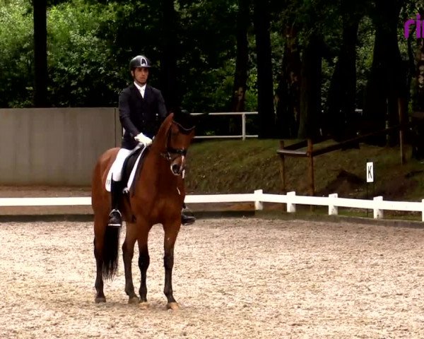 Reitturnier Heiden 2020