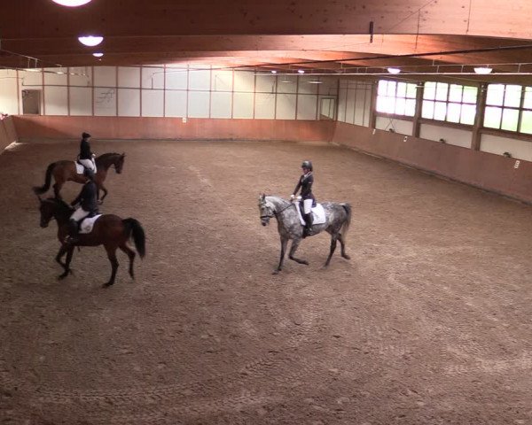 Reitturnier Halver 2020