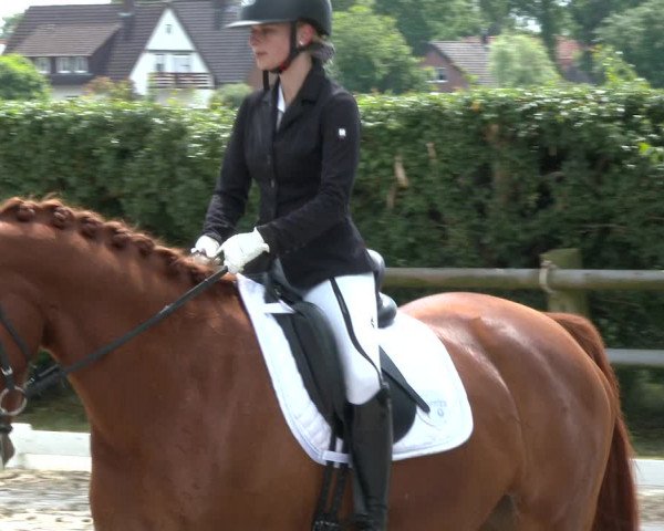 Reitturnier Niedernstöcken 2020