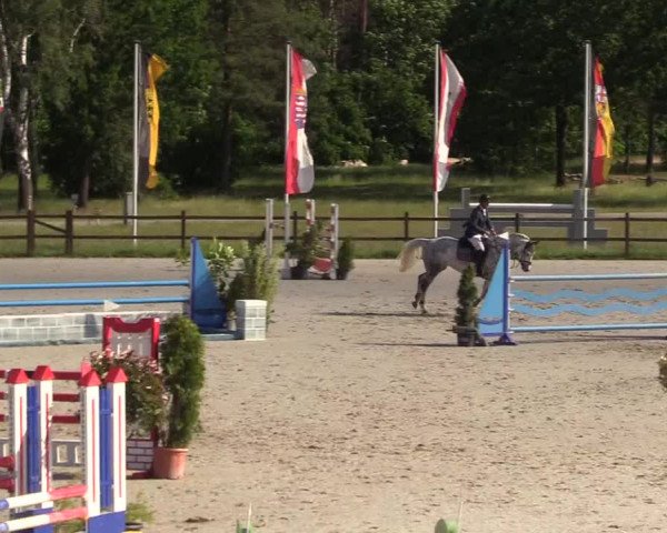 Reitturnier Westergellersen 2020