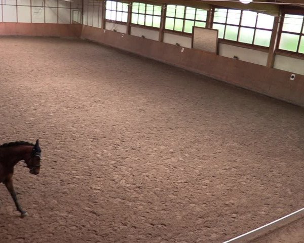 Reitturnier Halver 2020