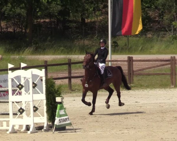 Reitturnier Westergellersen 2020