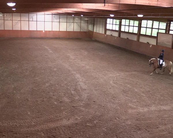 Reitturnier Halver 2020