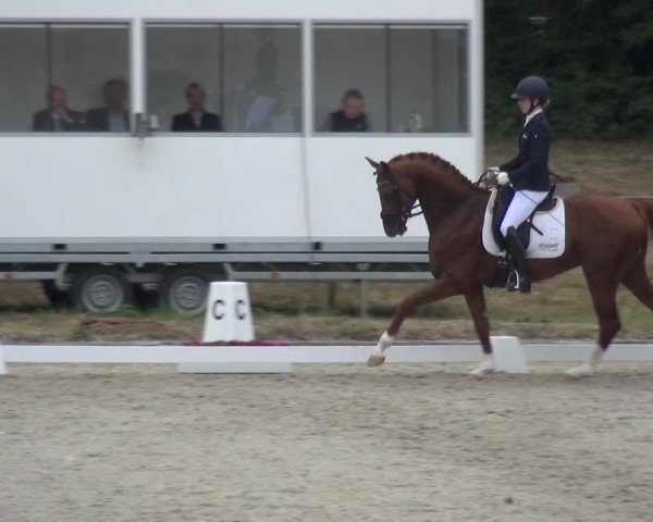 Reitturnier Langenfeld - Gut Langfort 2020